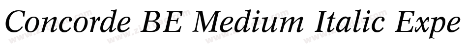 Concorde BE Medium Italic Expert字体转换